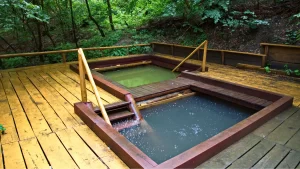 eco friendly pool