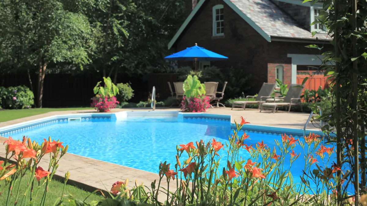 tanaman sekitar kolam renang