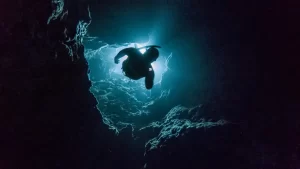 kolam renang terdalam di dunia