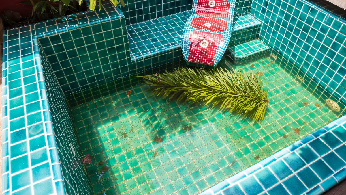 masalah kolam renang