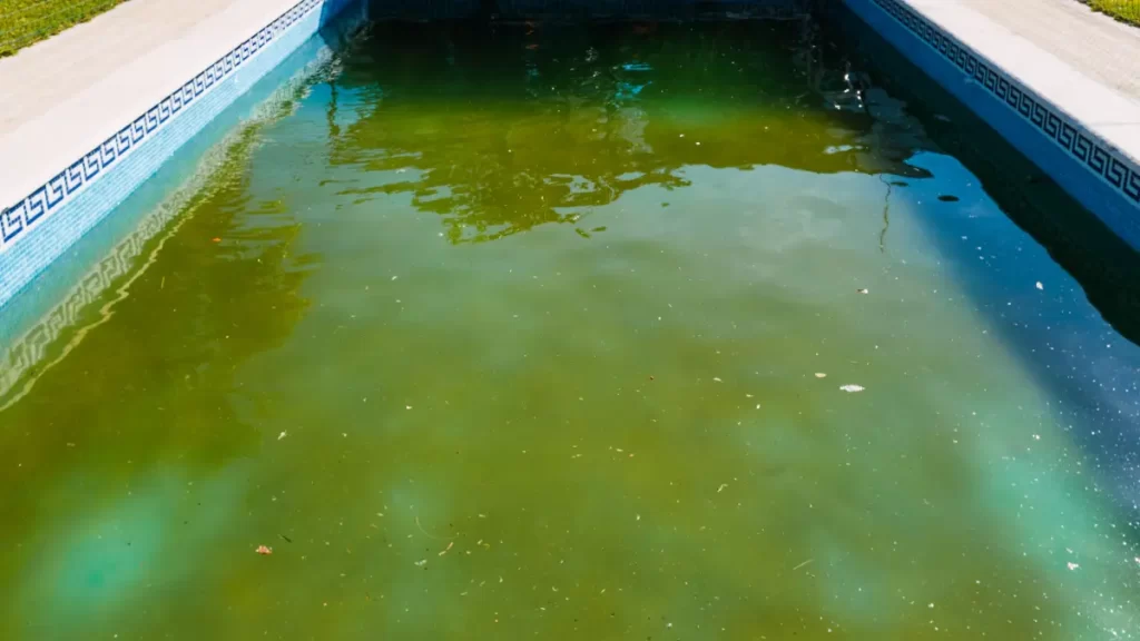 Insightful! Gimana Kondisi Kolam Renang Setelah Hujan Deras?
