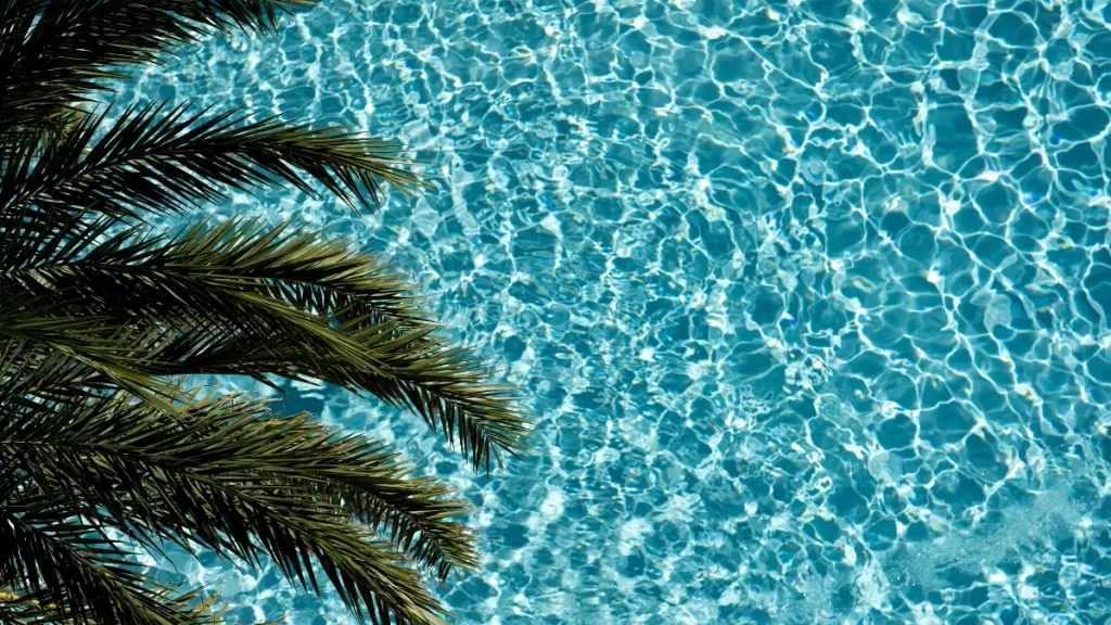 Pohon di Kolam Renang, Kenali Kelebihan dan Kekurangannya!
