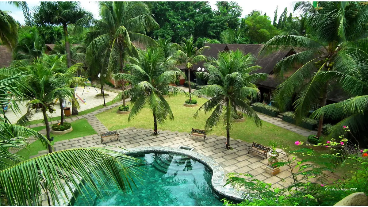 pohon di kolam renang