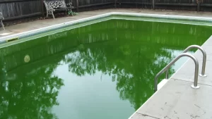 kolam renang berwarna hijau