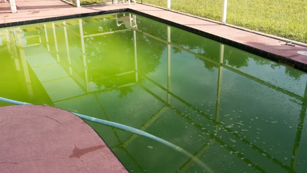 Penyebab Kolam Renang Berwarna Hijau Setelah Dibersihkan