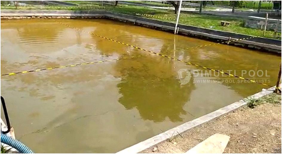 Contoh Desain Kolam Renang : [Studi Kasus Bekas Kolam Ikan]