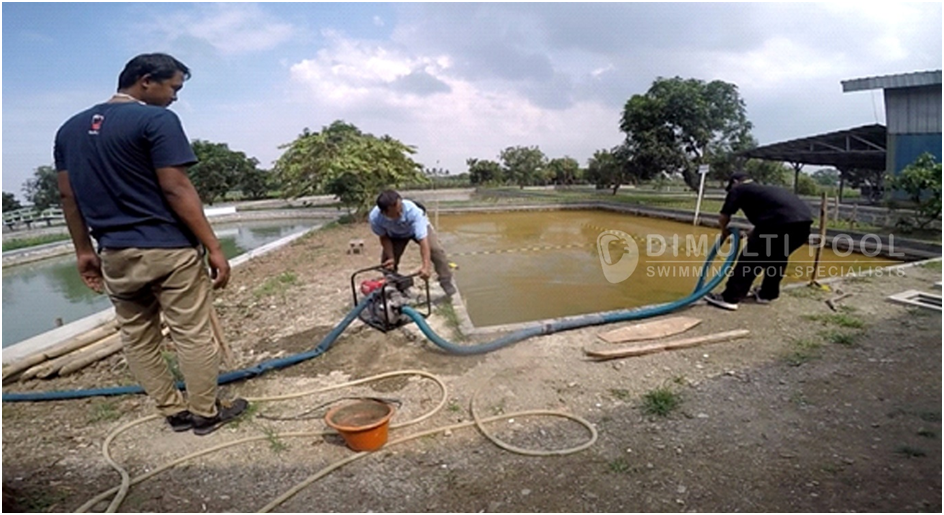 Contoh Desain Kolam Renang : [Studi Kasus Bekas Kolam Ikan]