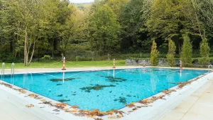 fungsi pohon di kolam renang