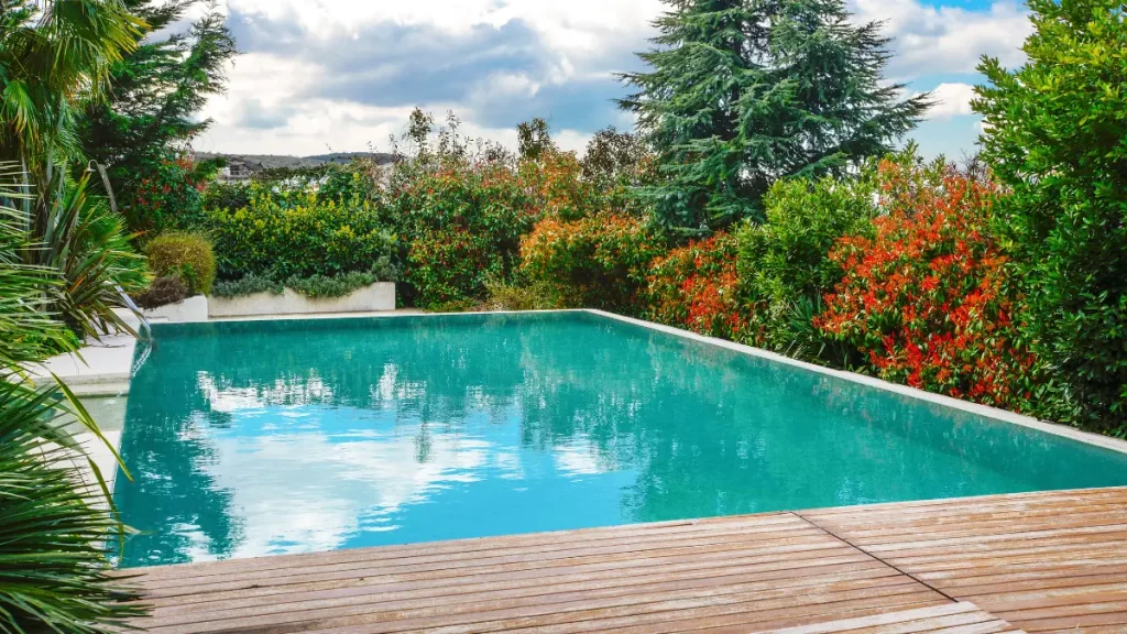 4 Fungsi Pohon di Kolam Renang dan Aspek Penting Lainnya!