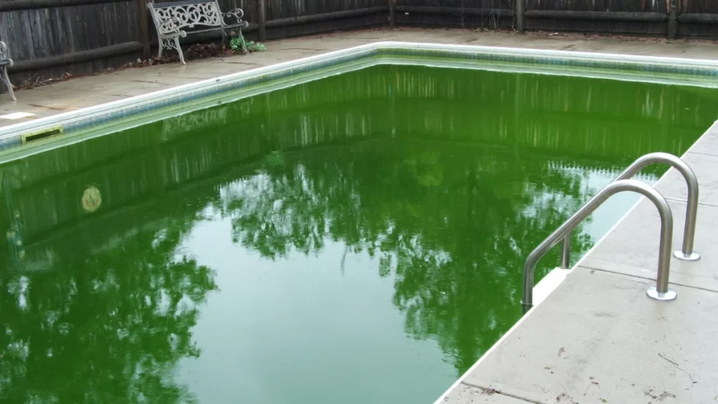 Algaecide Kolam Renang: Pengertian, Alasan Pakai & Jenisnya