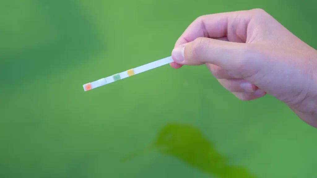 6 Aksesoris untuk Menghilangkan Lumut di Kolam Renang