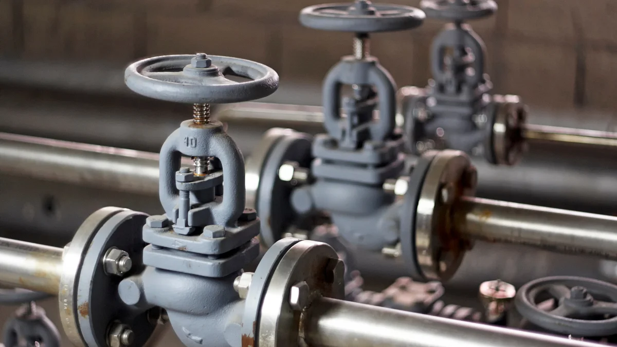 check valve
