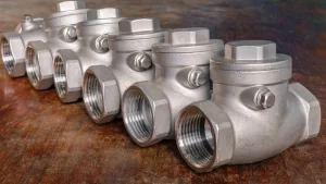 kegunaan check valve