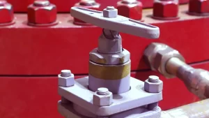 kelebihan check valve