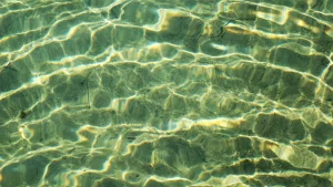 cara menjernihkan air kolam renang berwarna hijau