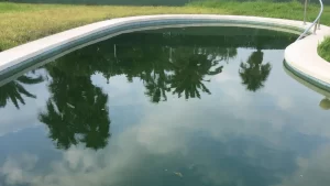 penyebab air kolam renang keruh
