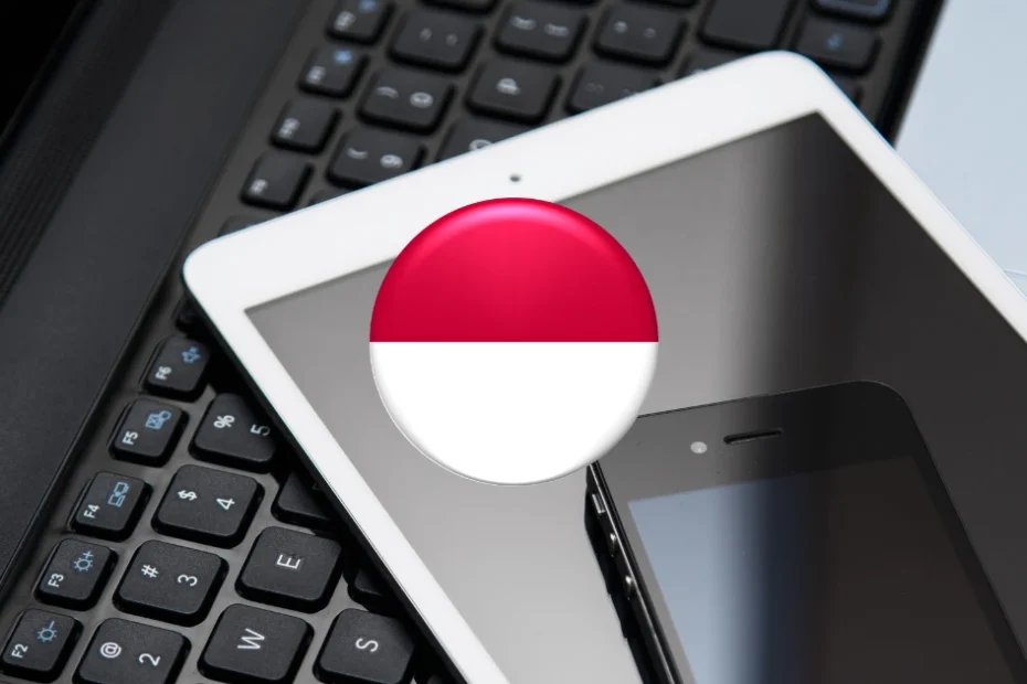 Indonesia DJID Issues New Technical Standards for SAR